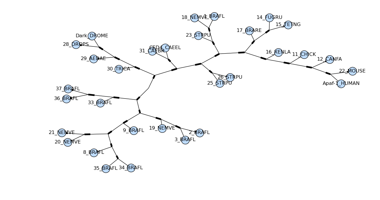 Unrooted tree with colored nodes
