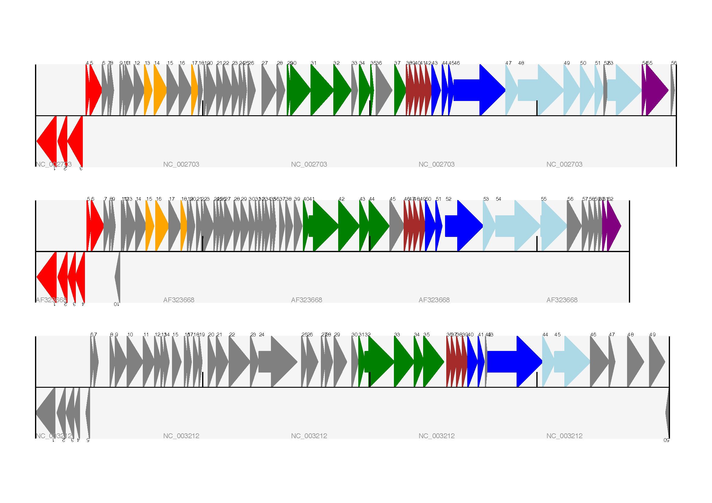 Linear diagram with three tracks for three phages