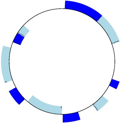 Simple circular diagram for *Y. pestis biovar Microtus* plasmid pPCP1.