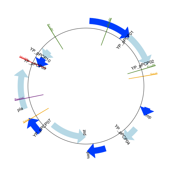 Circular diagram for plasmid showing selected restriction digest sites