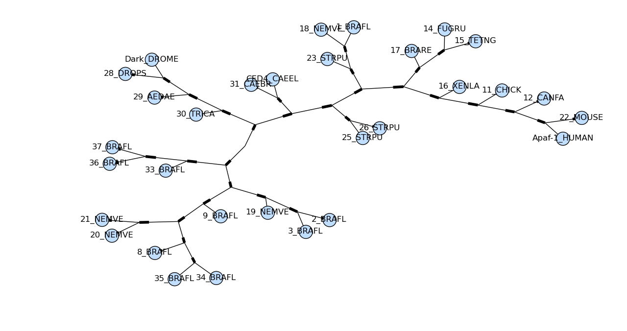 Phylo - Working with Phylogenetic Trees · Biopython