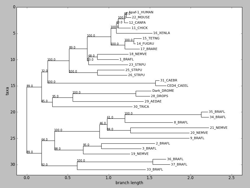 How to construct a Phylogenetic tree ?